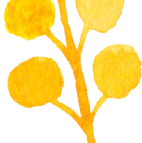 彩色清新植物手绘水彩插画
