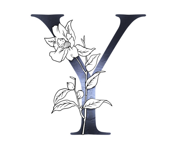 黑白创意花卉字母Y设计素材