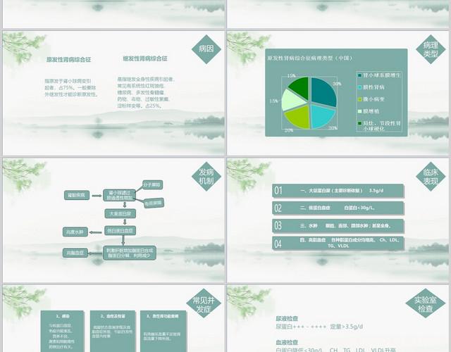 绿色 古风 PPT肾病综合征护理查房