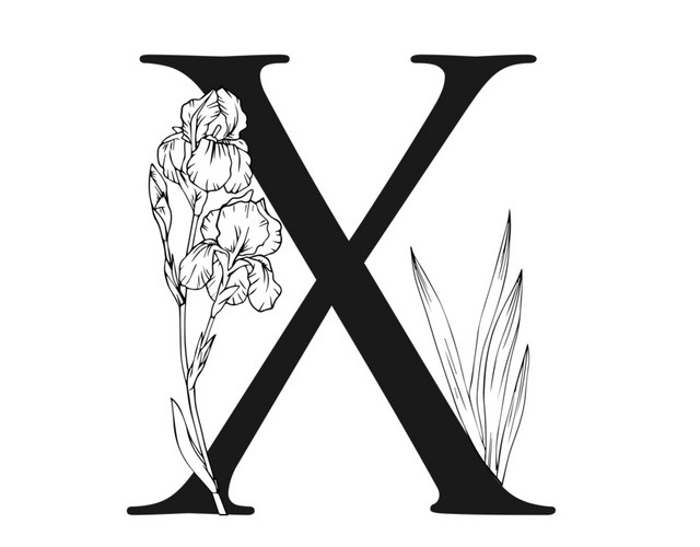 黑白创意花卉字母X设计素材