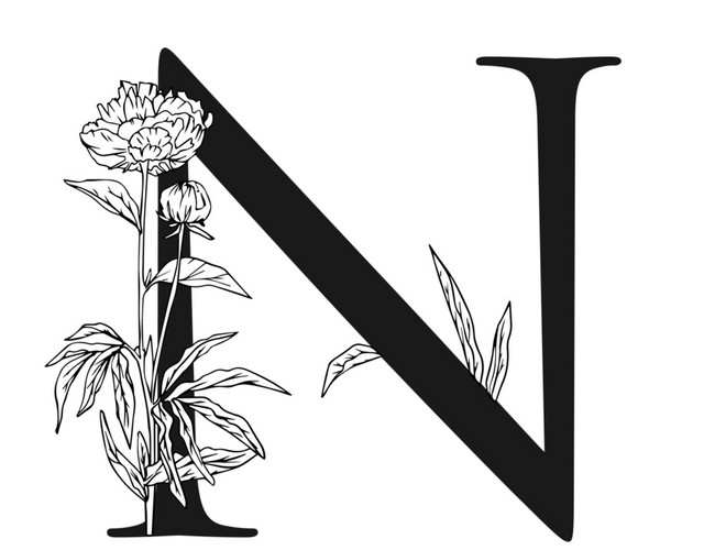 黑白创意花卉字母N设计素材
