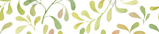 绿色清新植物插画背景素材
