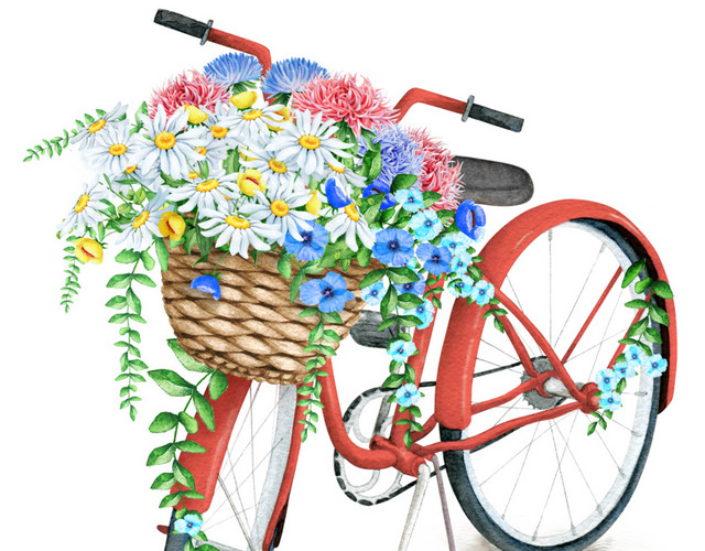 彩色清新花篮自行车水彩插画