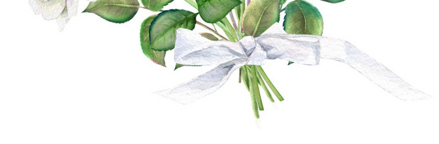 彩色清新植物花束水彩插画