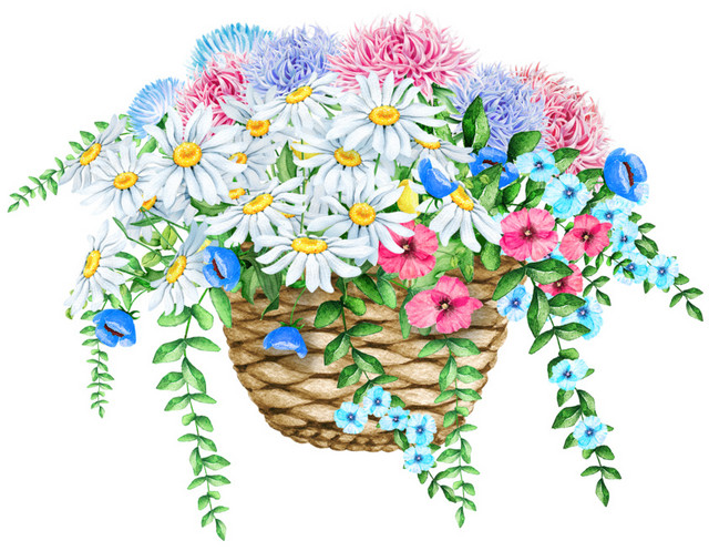彩色清新植物花篮水彩插画