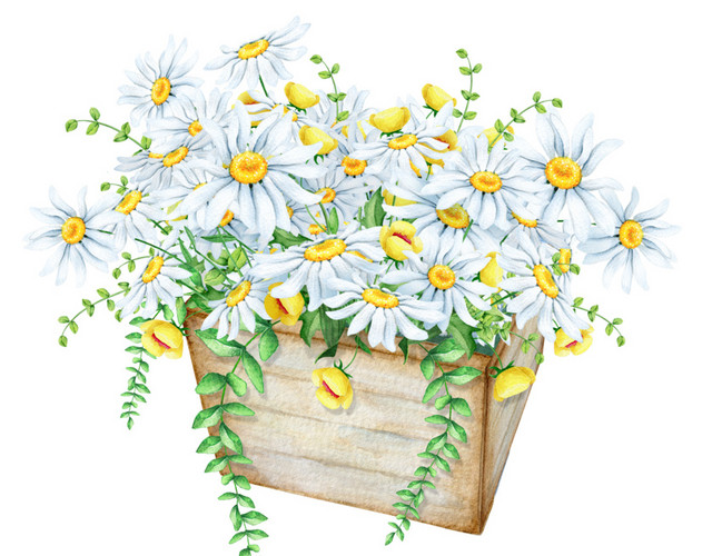 彩色清新植物花篮水彩插画