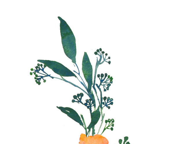 手绘花草素材矢量素材