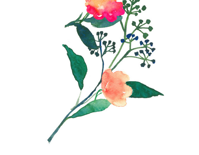 手绘花草素材矢量素材