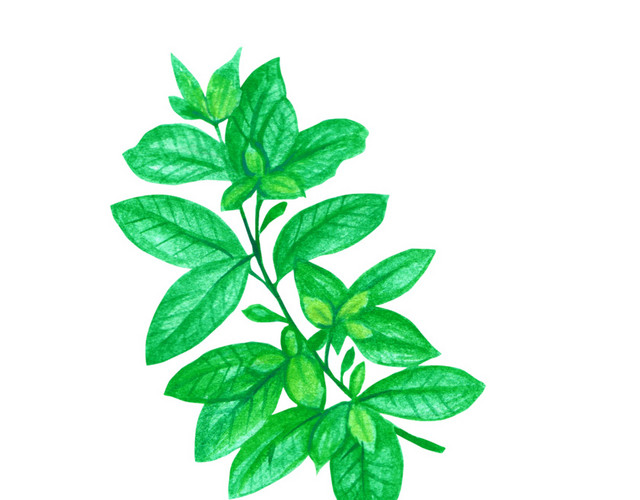 卡通蔬菜矢量图形