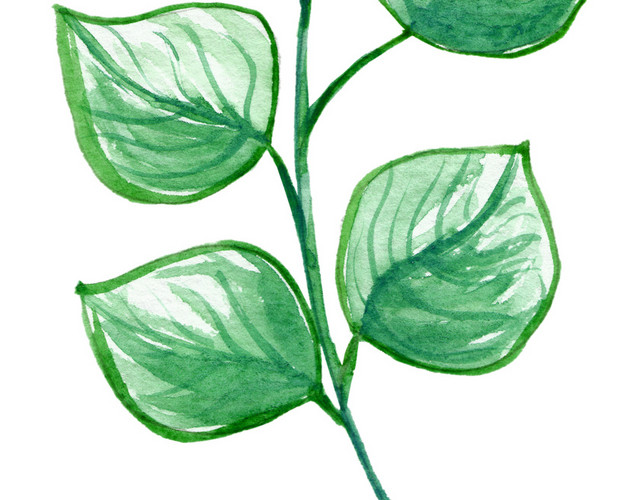 绿色水彩植物叶子素材