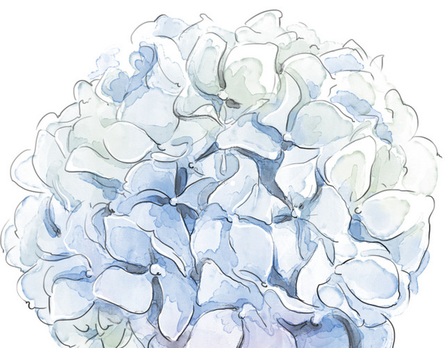 白色卡通插画花朵素材