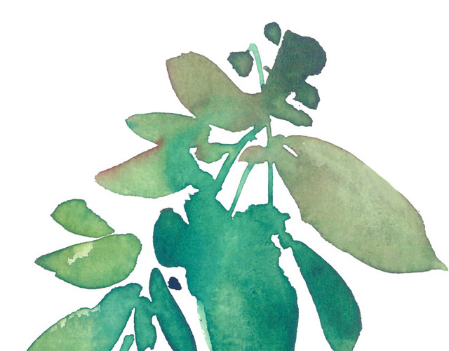 蓝色清新植物枝条素材