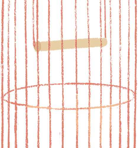 鸟笼子