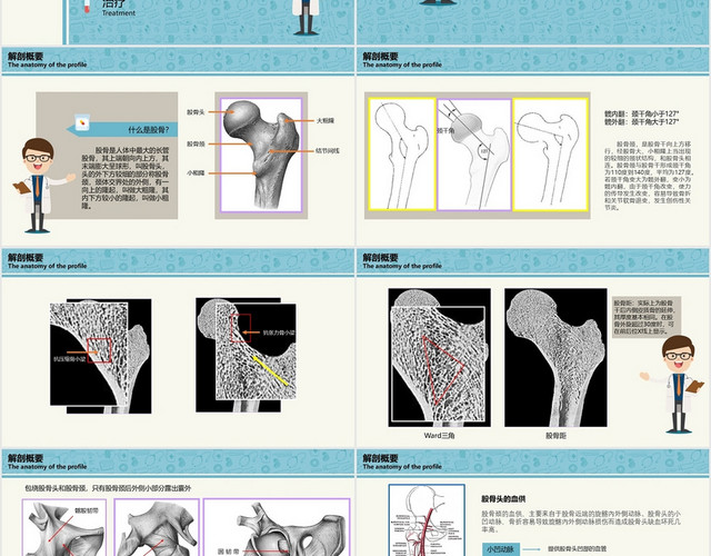 蓝色简约清新风医疗股骨颈骨折PPT模板