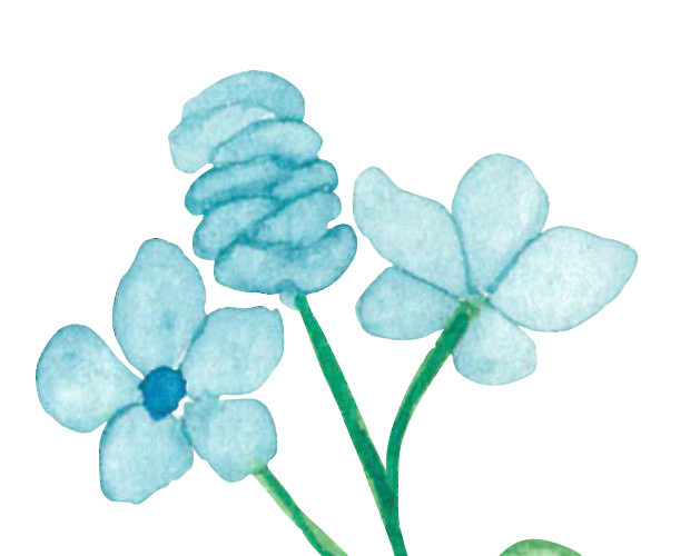 花卉手绘