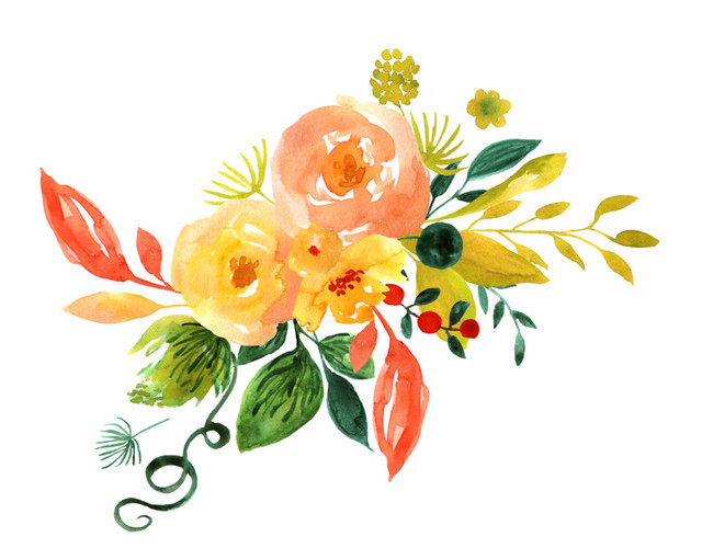 花卉手绘图片