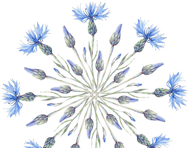 蓝色野花花型图案