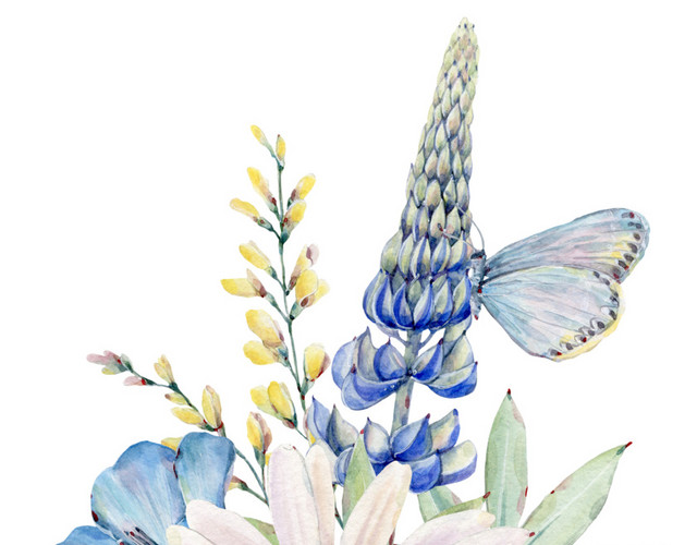 花卉蝴蝶插画素材
