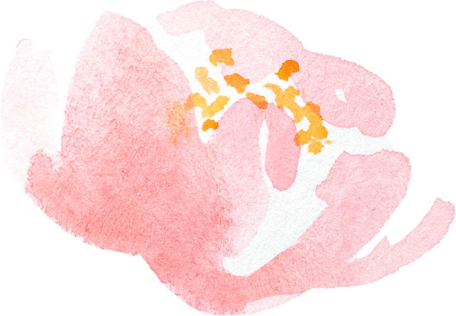 矢量粉花素材