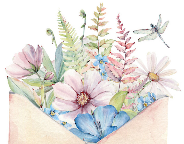 鲜花信件素材