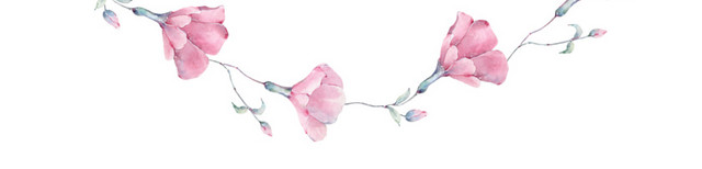 牵牛花花环