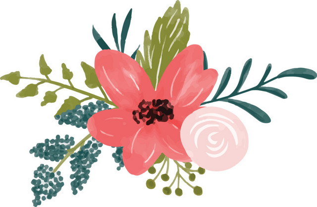 花朵插画素材