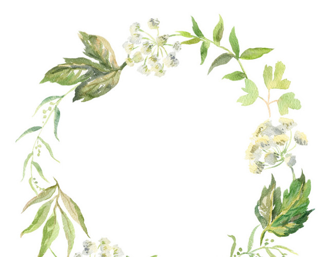 清新花朵边框树叶边框