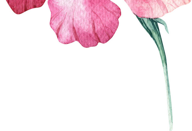 红色盛开鲜花矢量图