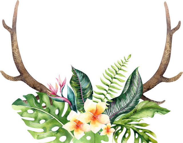 鹿角花草摆件