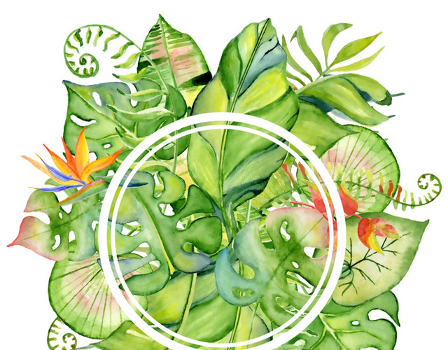 手绘花草圆形边框