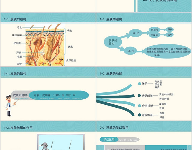 绿色手绘卡通皮肤和汗液分泌PPT模板