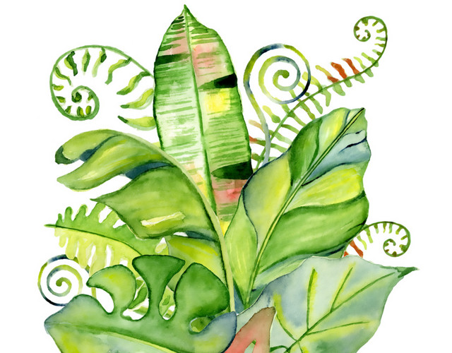 绿叶装饰插画