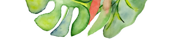 绿叶装饰插画