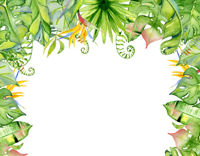 手绘花草树叶边框