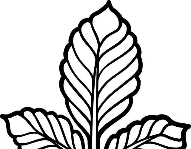 手绘黑白植物叶子素材下载