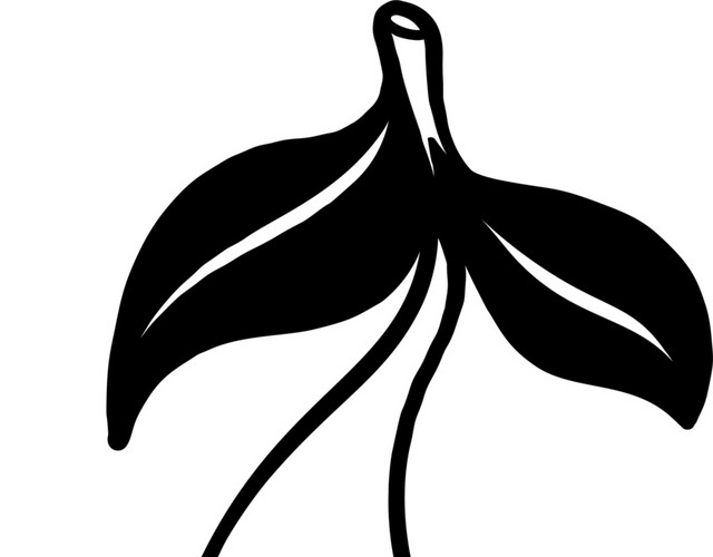 手绘黑白水果樱桃矢量元素
