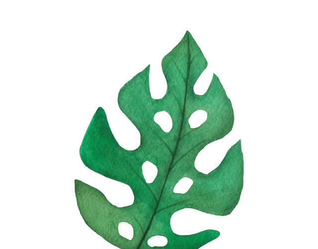 创意风绿植PNG素材