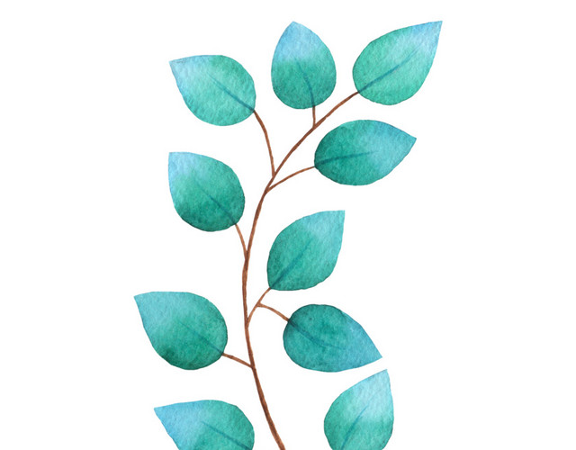 手绘植物叶子矢量元素