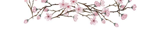 清新粉色花朵花枝外框标题框装饰素材