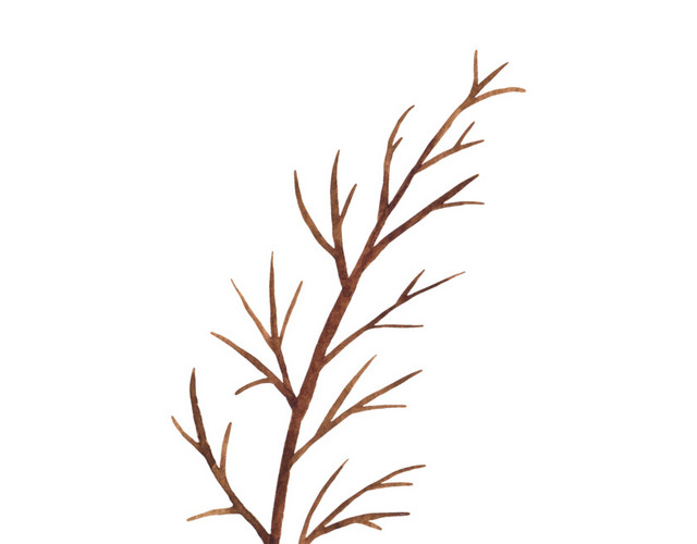 手绘植物树干矢量图