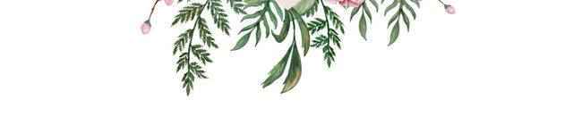 清新粉色花朵花枝外框标题框装饰素材