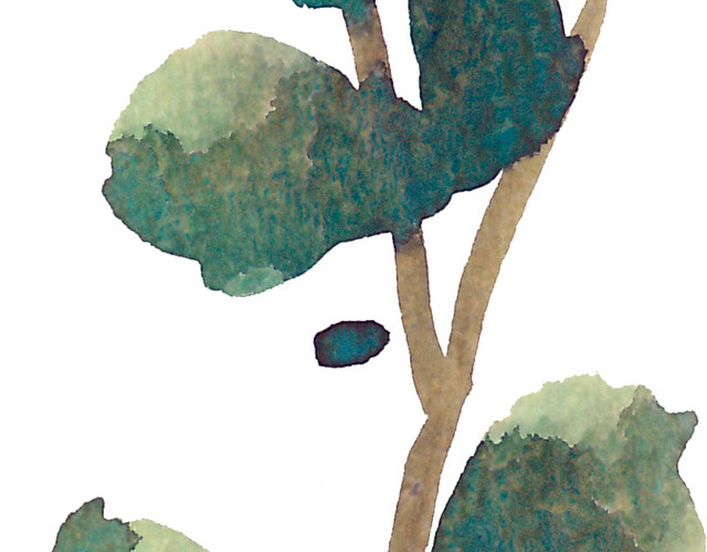 清新枝叶绿叶绿植插画素材