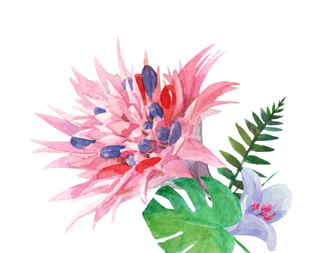 唯美花朵花叶矢量素材
