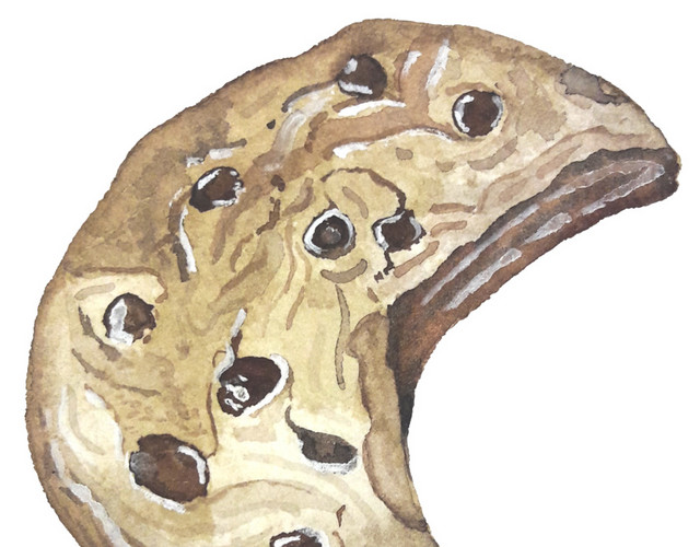 巧克力豆饼干插画素材