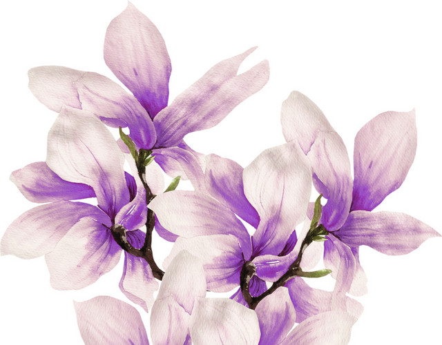 紫色花簇花团花朵素材