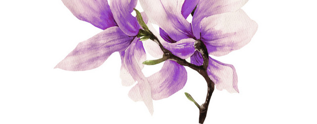 紫色花簇花团花朵素材