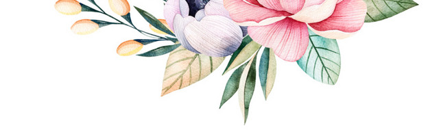 清新装饰花朵花叶花环素材