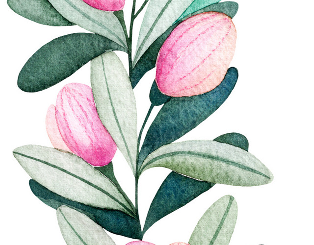 清新装饰花朵花叶素材