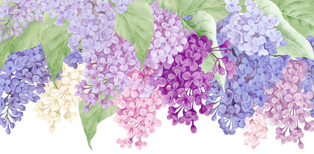 彩色花簇花团花叶素材