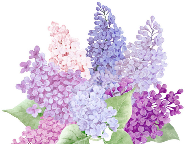 彩色花簇花团素材